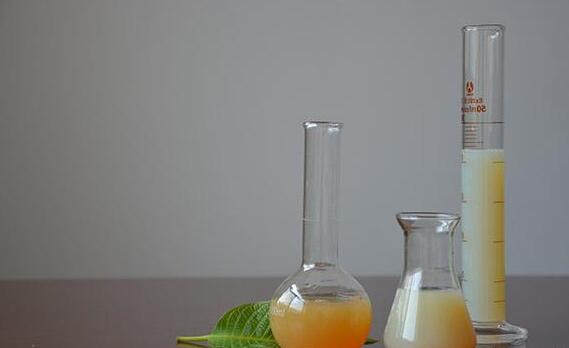 evo视讯·(中国大陆)真人平台